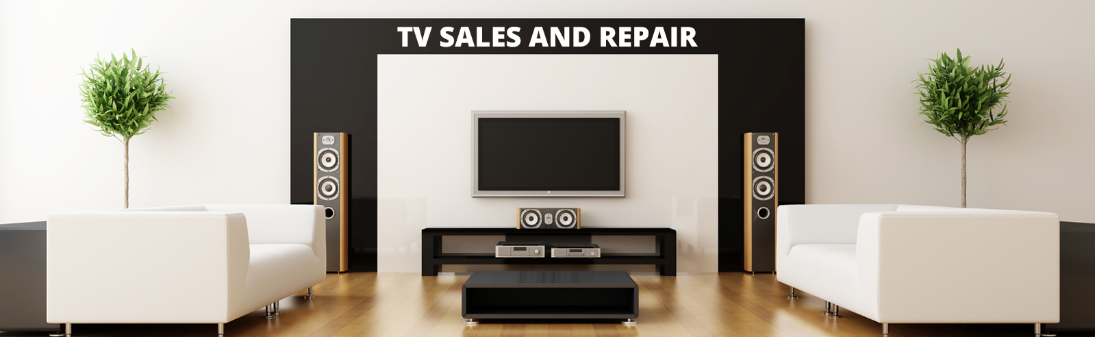 TV Repair and Sales